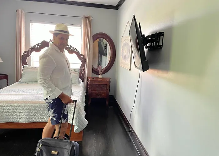 Heavenly Suite In Little Havana Free Parking